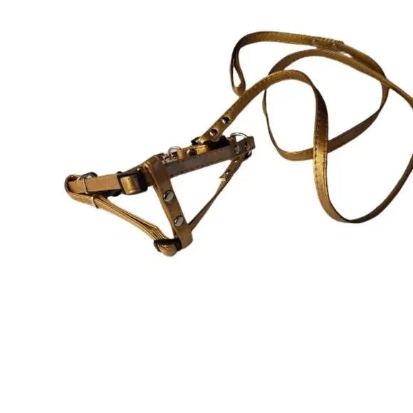 NWT Harness & Leash Size XS - Picture 1 of 5